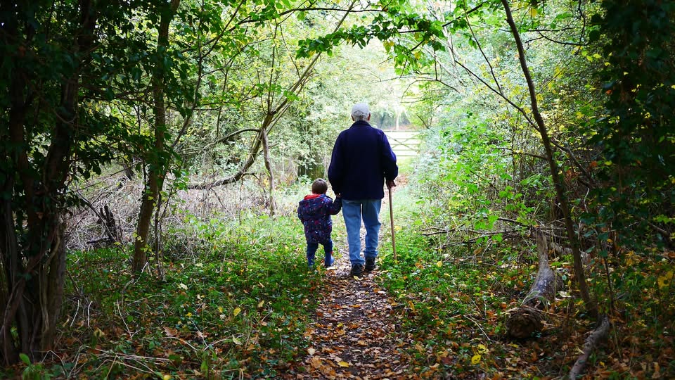 We Are Not Born Grandparents: A Look at Today's Grandparenting