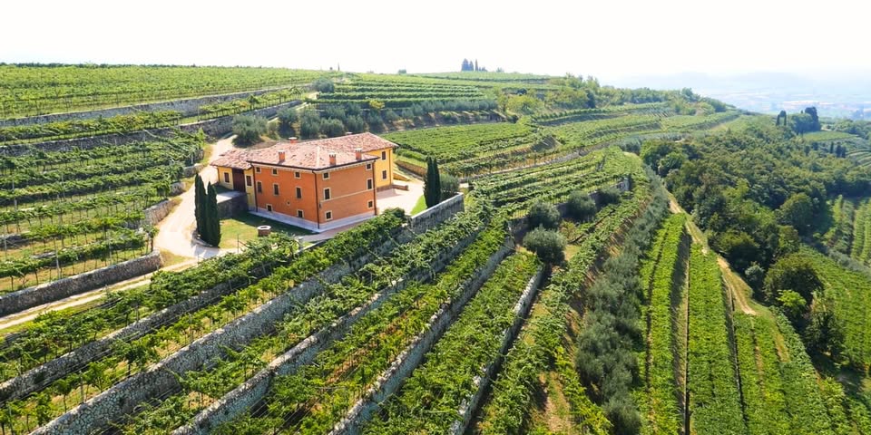 Rencontres Producteurs : Dégustation des vins du domaine Speri en présence du producteur