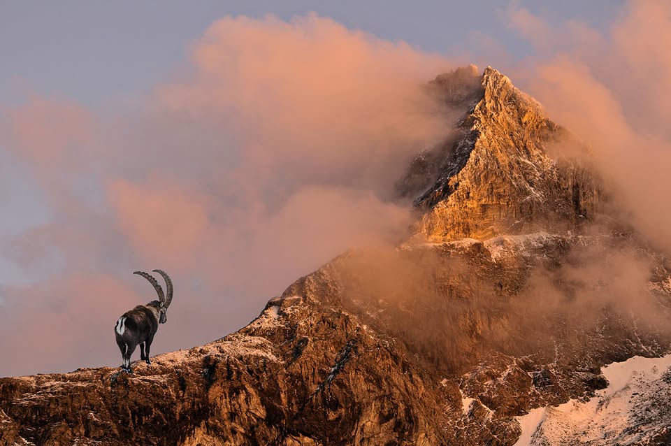 Exploration of the World - The Alps - Atmosphere of the Peaks