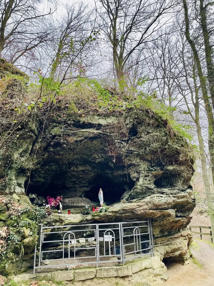 Randonnée nordique à Rollingen aux portes du Mullerthal