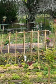 Portes ouvertes au Jardin sous la fontaine