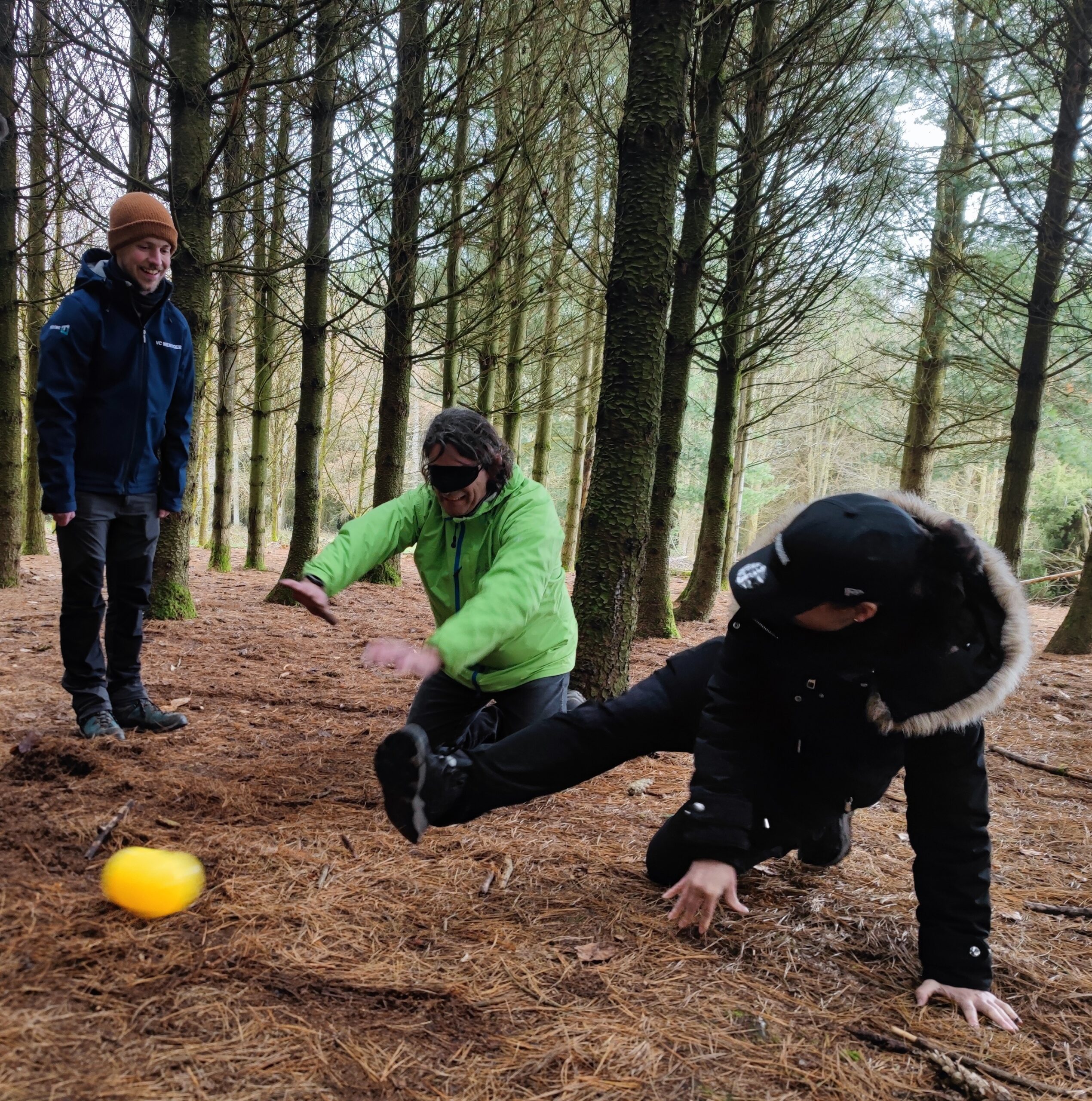 Jeux de mouvement en forêt