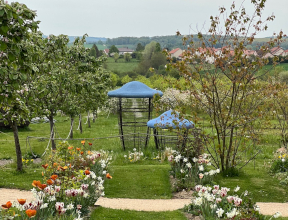 Stage Préparez Le printemps dès maintenant