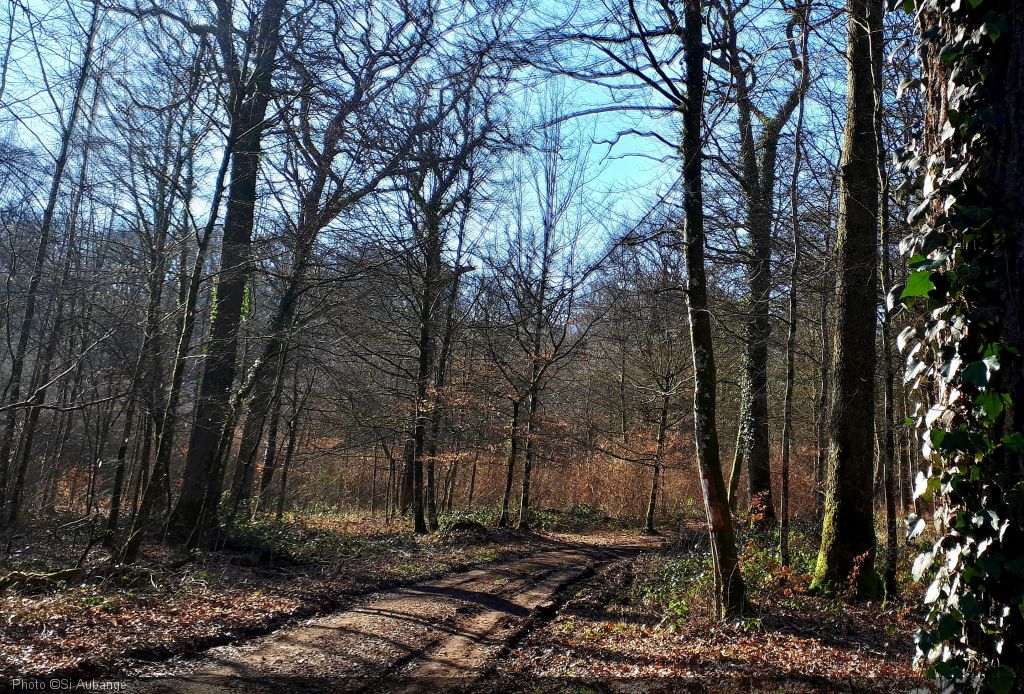 Promenade rando-découverte