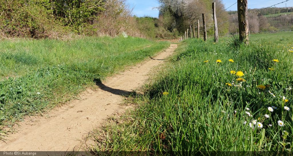 Promenade rando-découverte