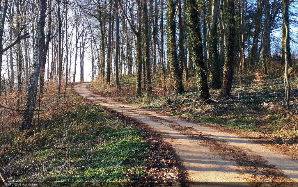 Promenade rando-découverte