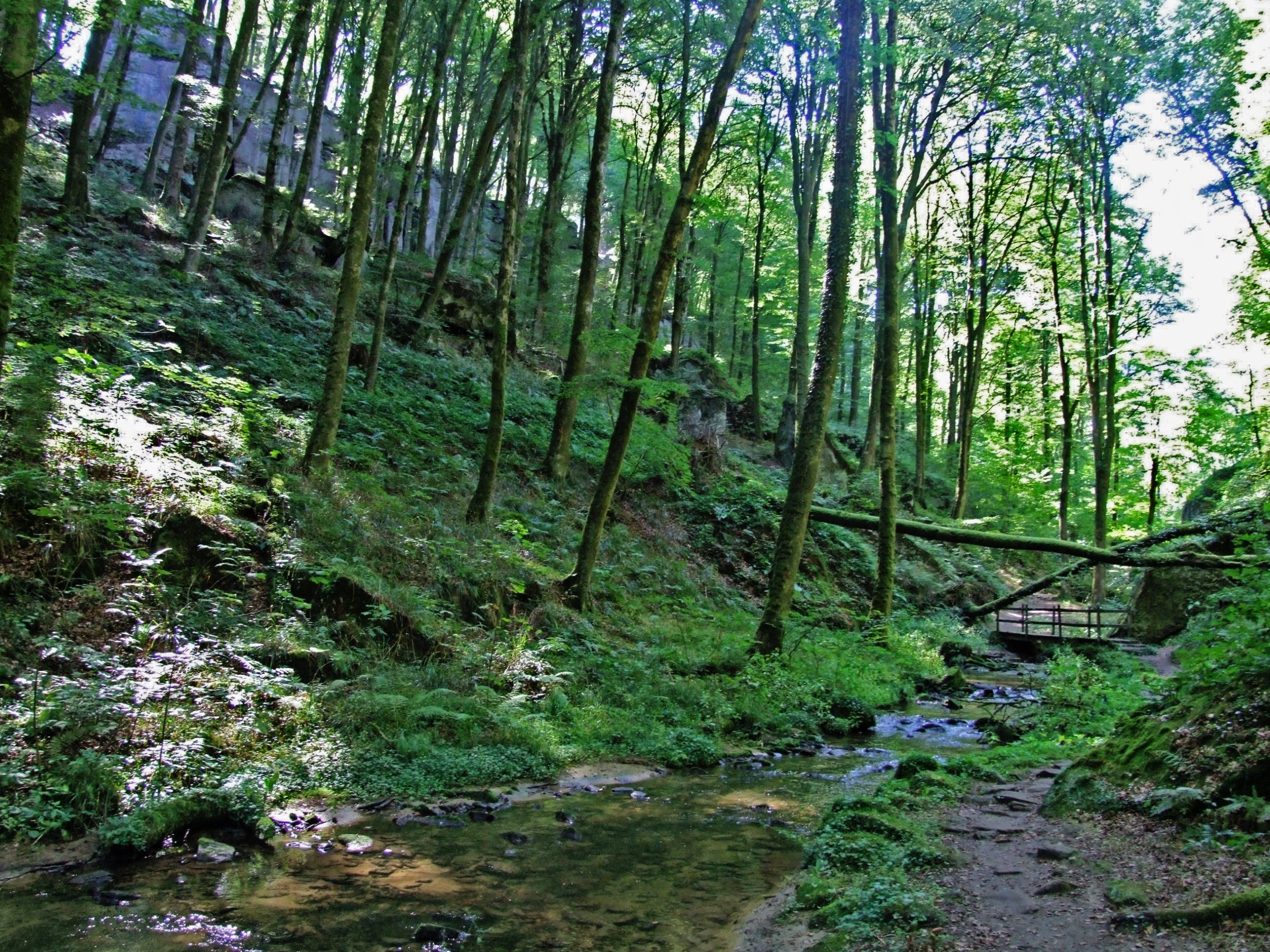 Randonnée guidée: géosite haupeschbaach/halerbaach