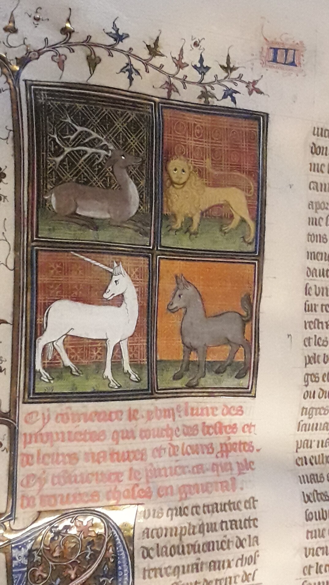 Conference: Bestiaries: discovering familiar and fabulous animals