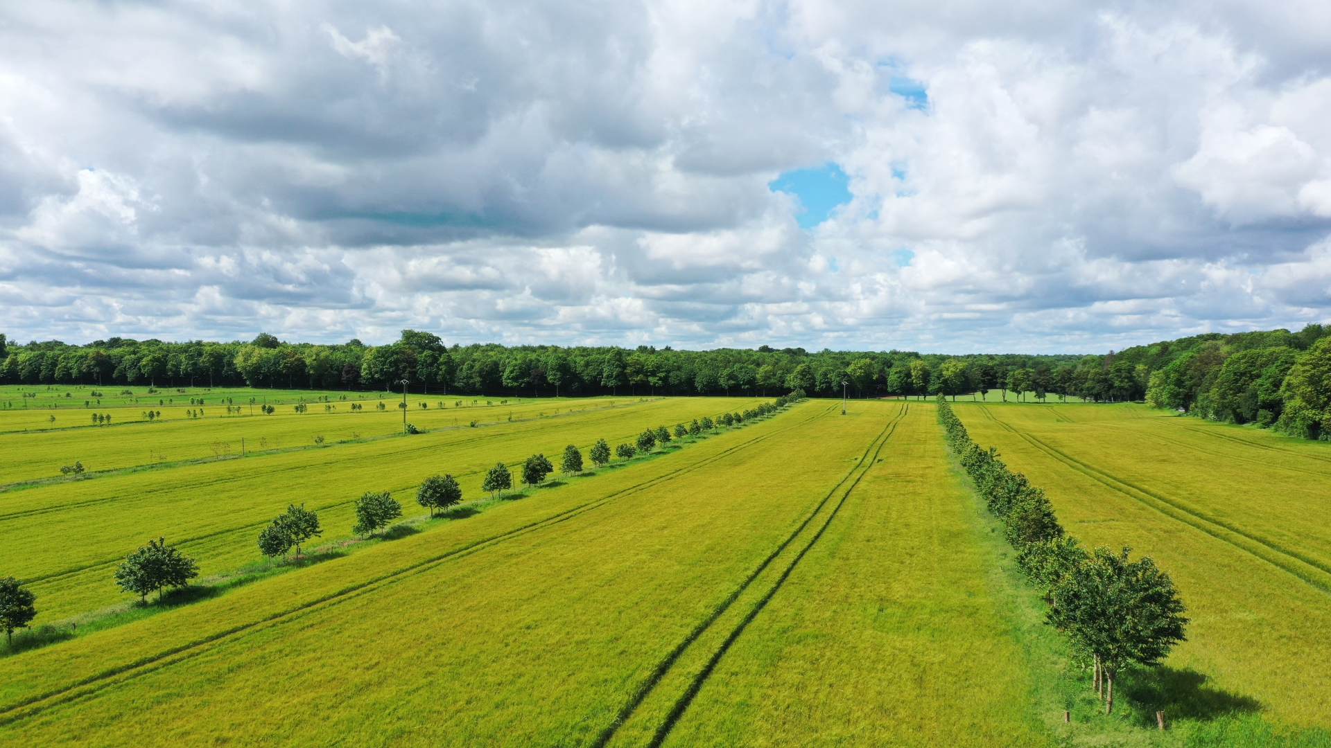 Colloque : « Agroforesterie  une chance pour une agriculture viable en temps de changement climati