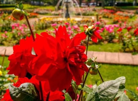 Visite guidée : Thionville au naturel