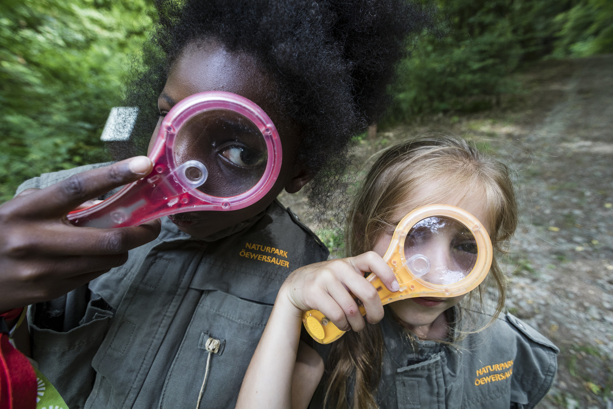 Partir à la recherche en tant qu'explorateur du parc