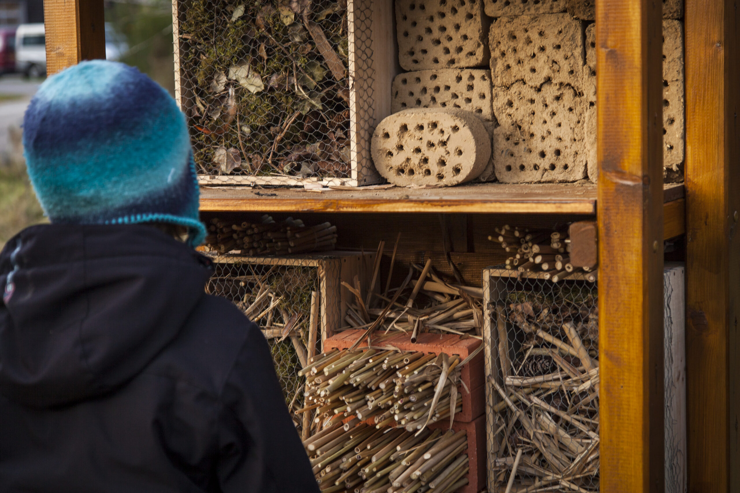 Activité en famille : Pollinisateurs à la ferme