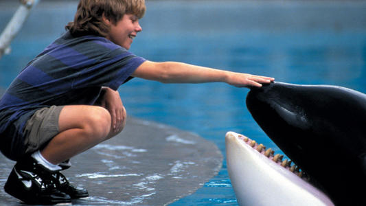 Free Willy (Family Screenings)