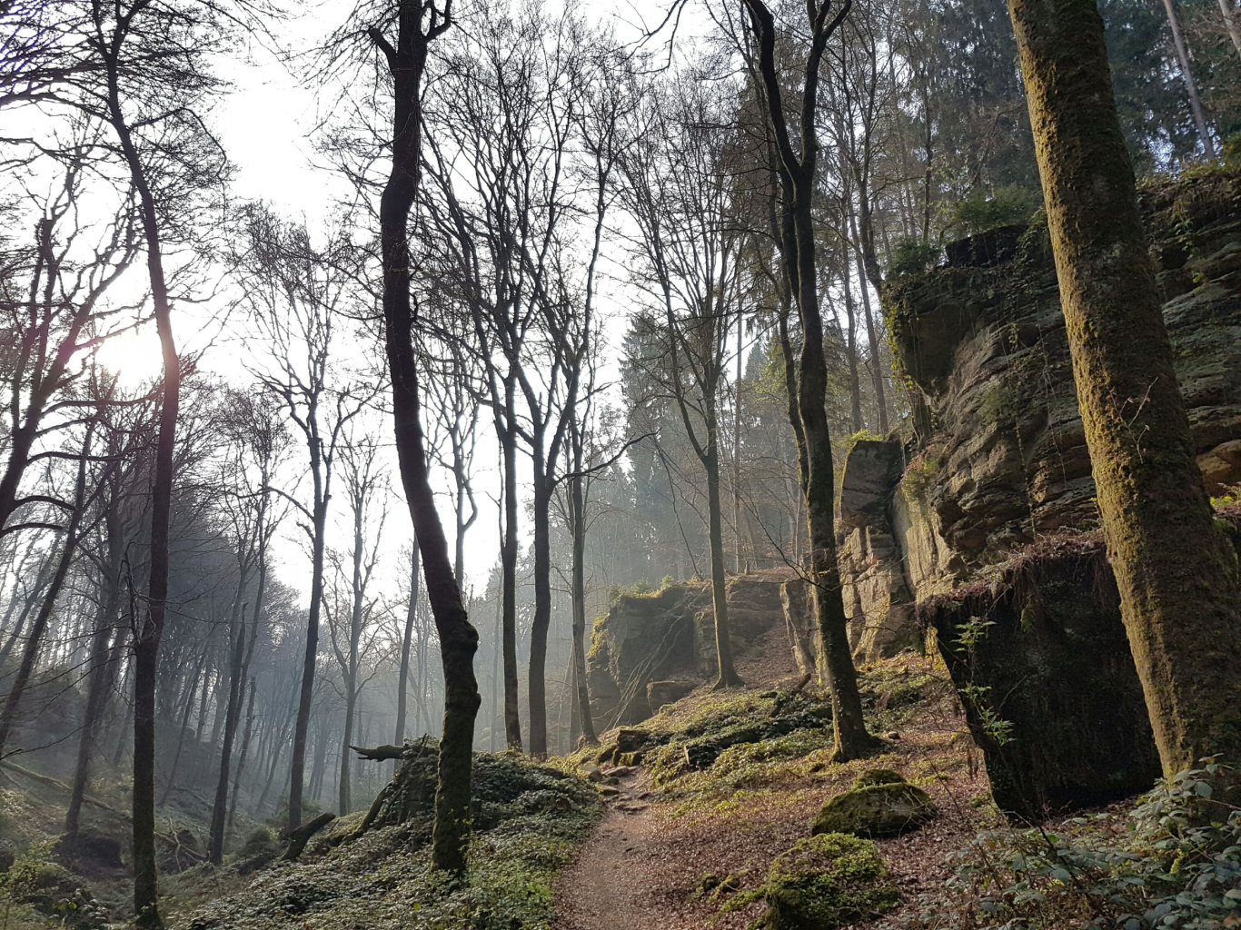 Day hike in Echternach with dinner