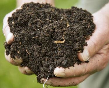 Malou Biver - Atelier compost