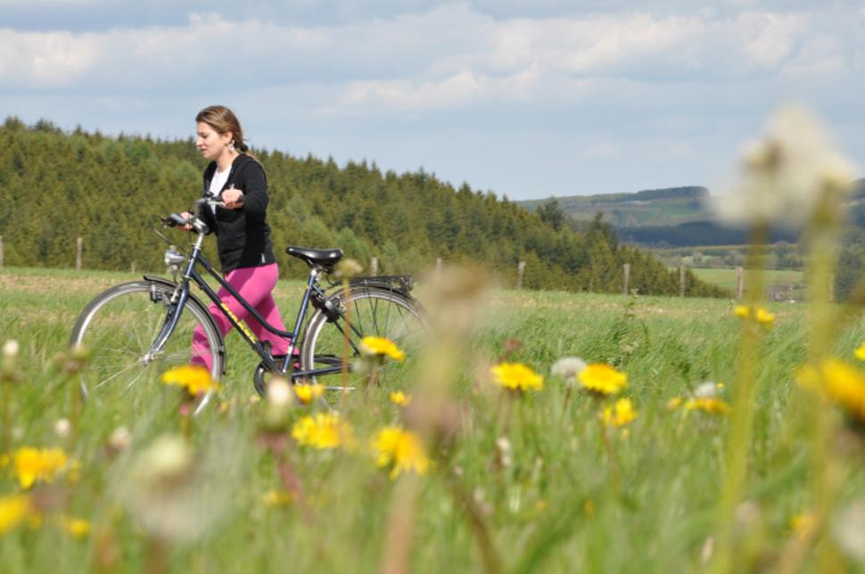 Balade paysagère à vélo