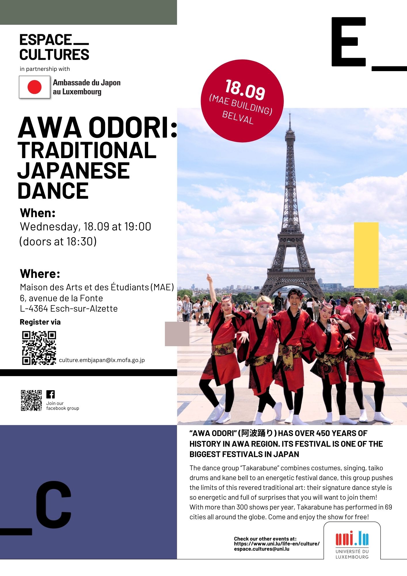 Awa Odori - Danse traditionelle japonaise