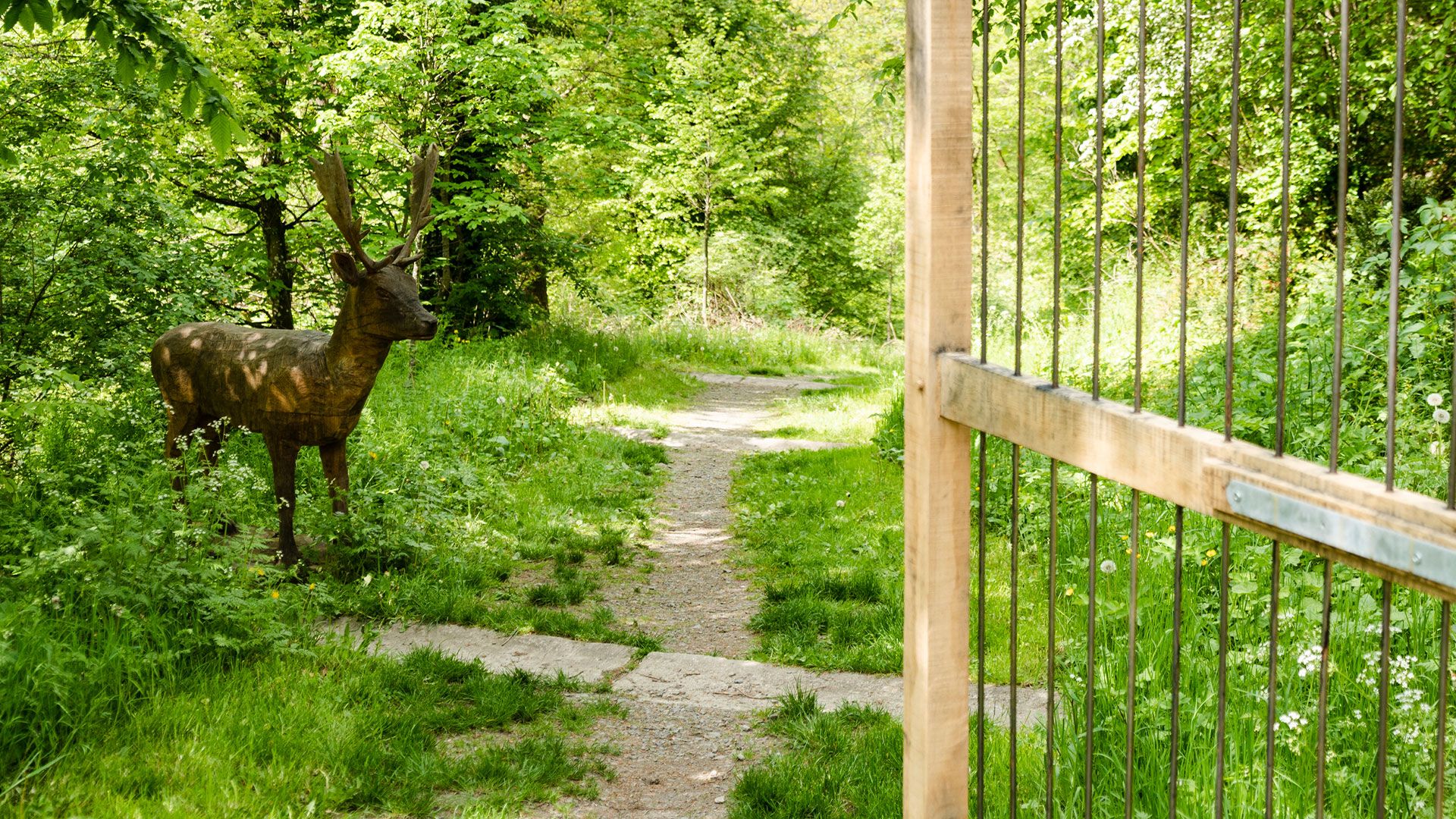 Visite guidée de l'ancien parc animalier - Cittaslow