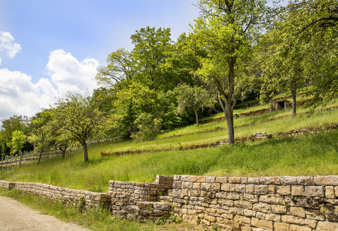 Discover Dry Stone Walls