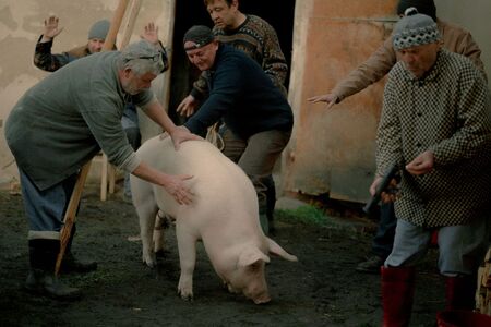 Notre charmante Abattage de porc (Festival CinEast)