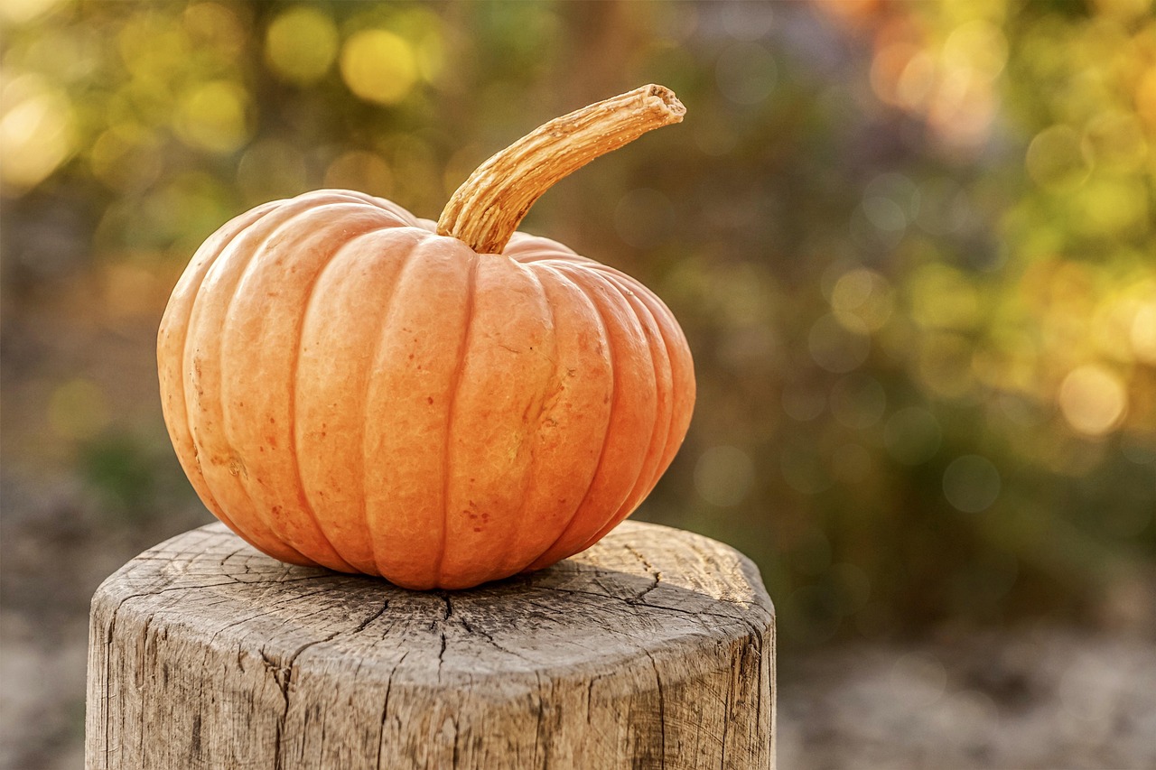 SCARY PUMPKINS