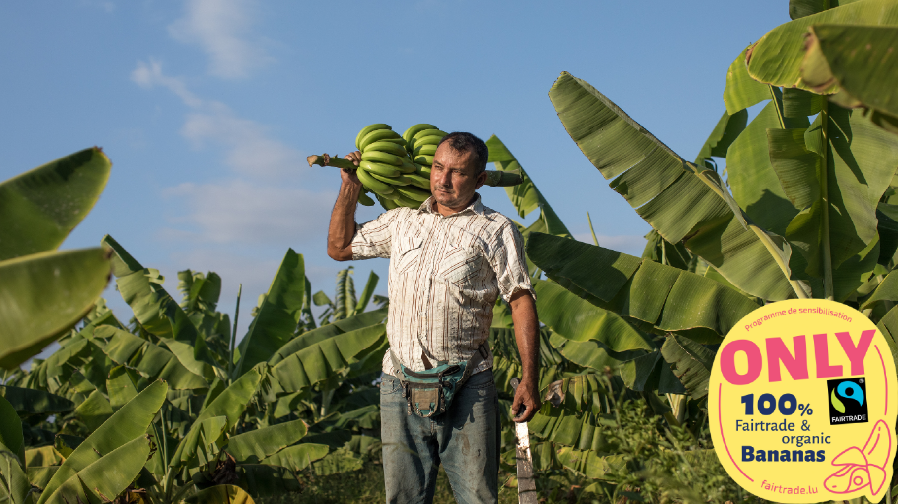 Fairtrade Banana Weeks