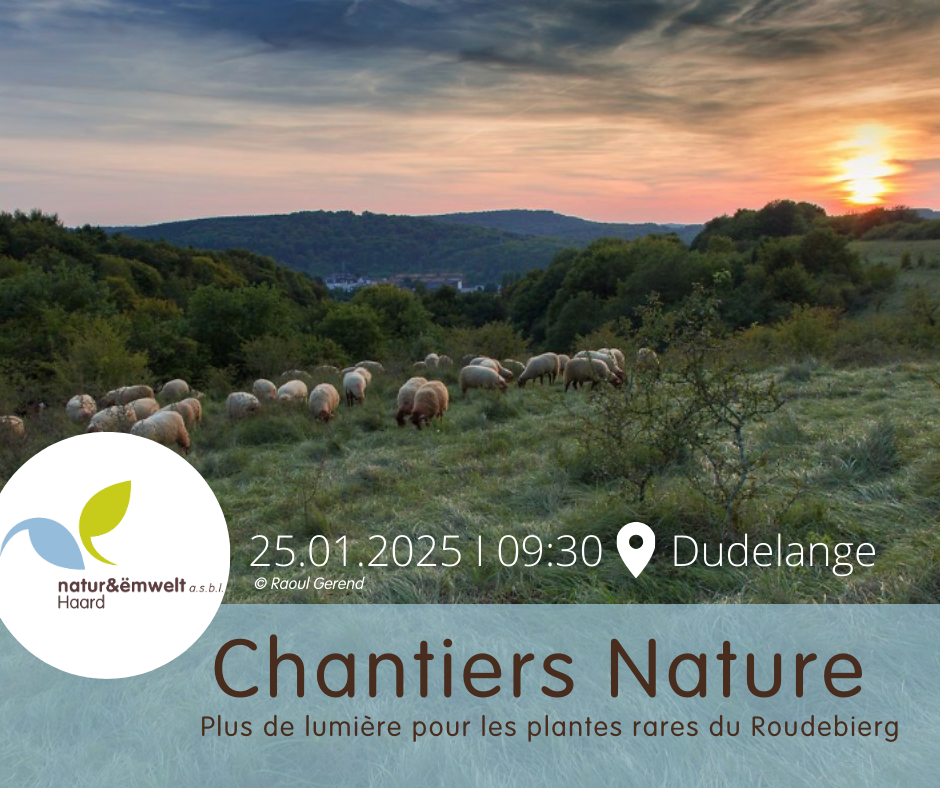 Chantiers nature : Fit by nature