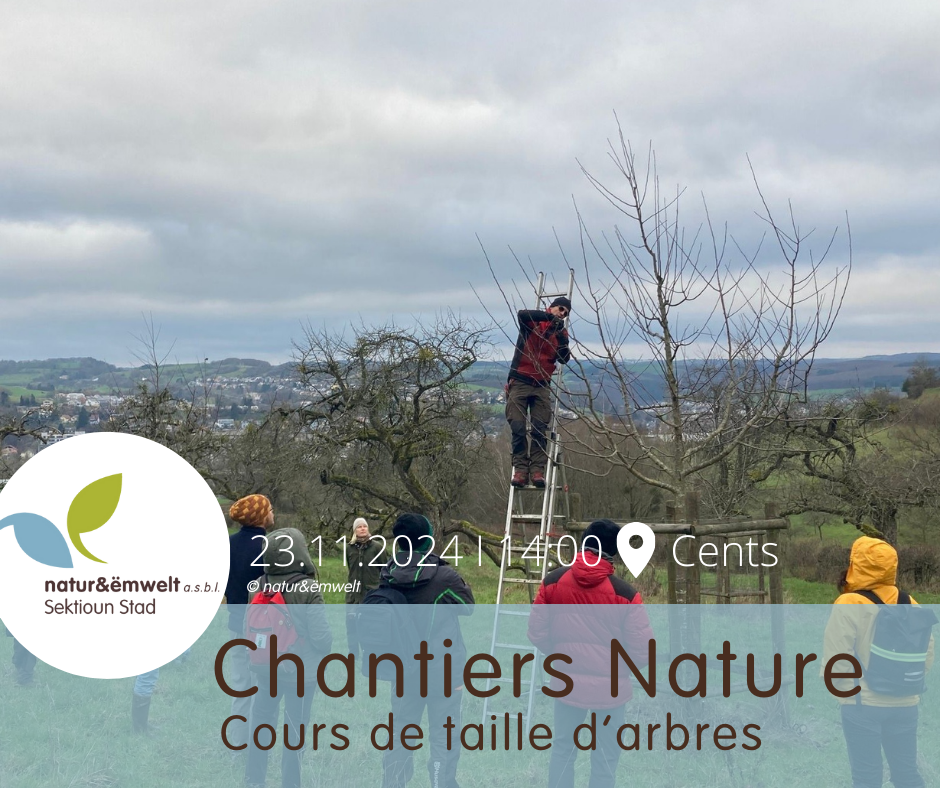 Chantiers nature : Fit by nature