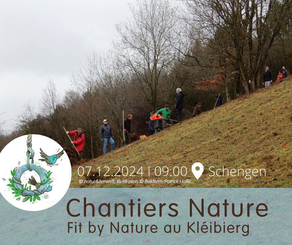 Chantiers nature : Fit by nature