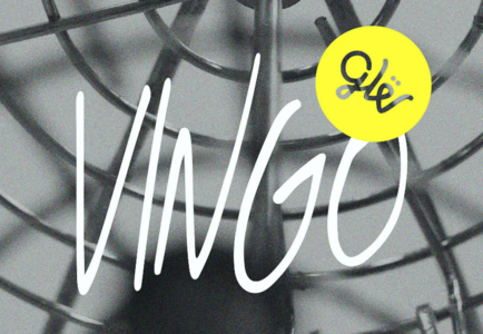 Vingo - quiz de vin et bingo!