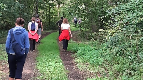 Promenade méditative en forêt : nous marchons - comment allez-vous ?