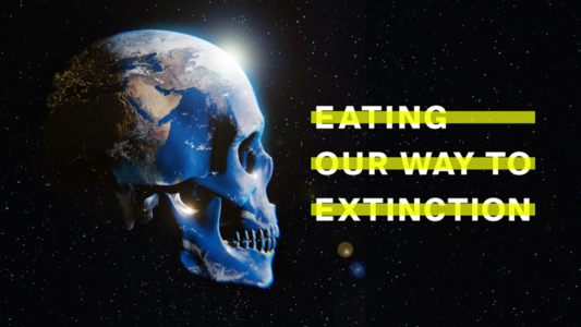 Projection du film documentaire "Eating our way to extinction"