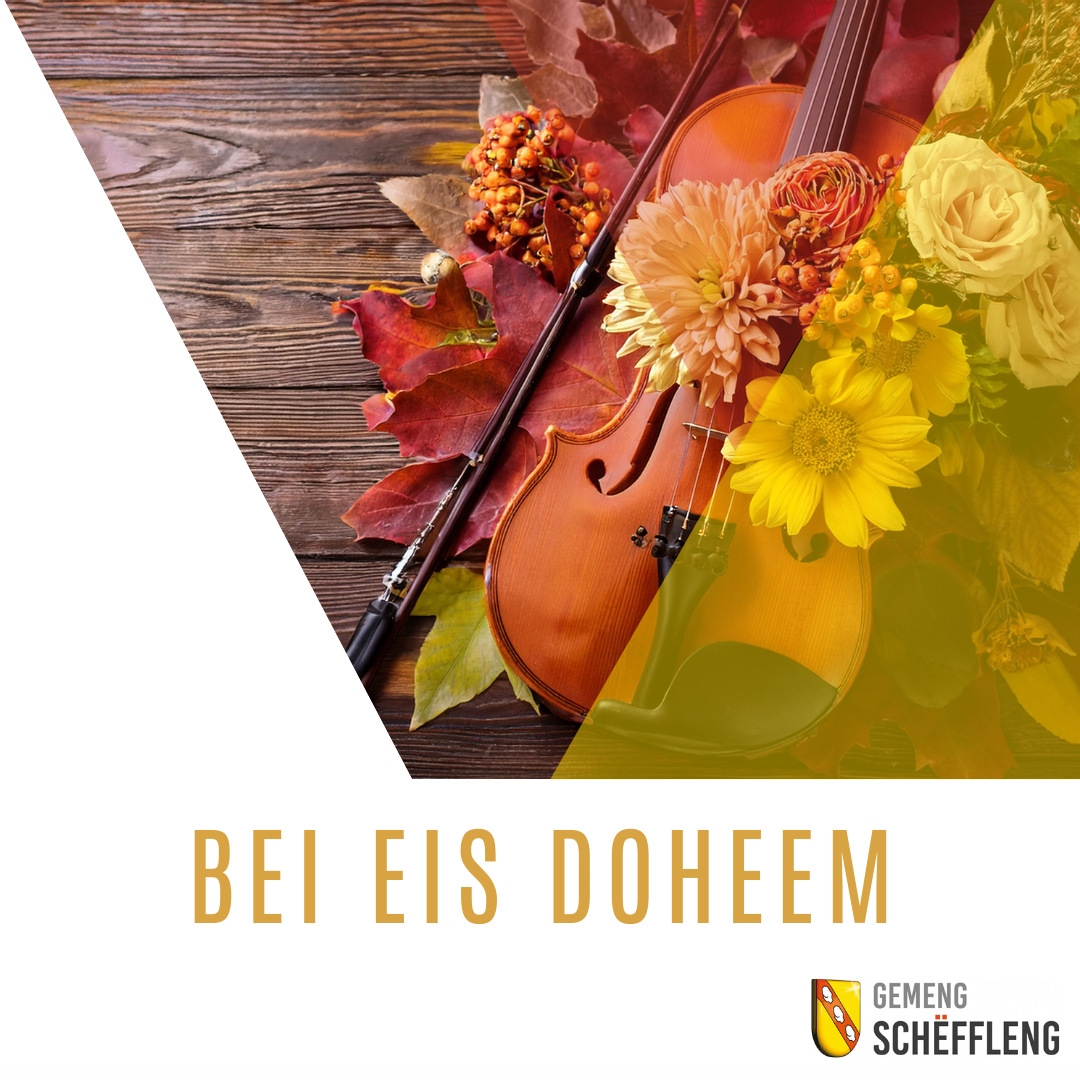 Concert 'Bei Eis Doheem' – Estro Armonico Orchestra