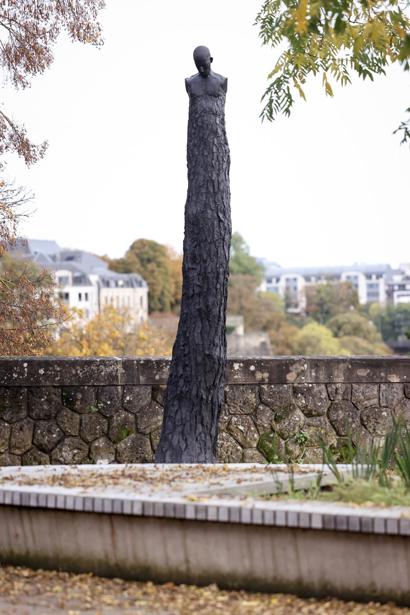 Fabien Mérelle, Strange Tree