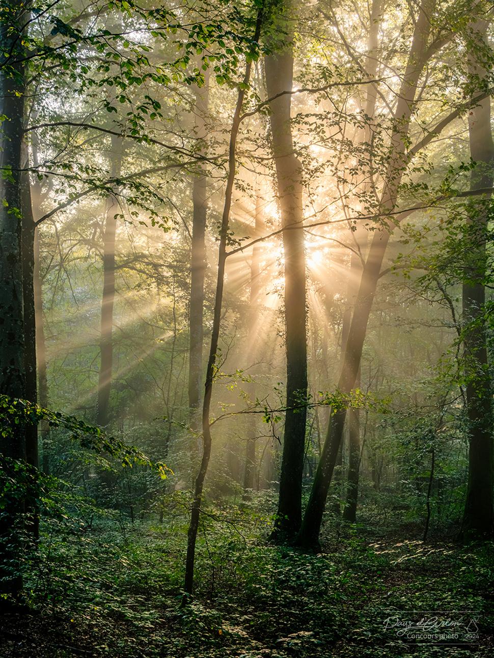 Photo Exhibition "Views on the Country of Arlon"