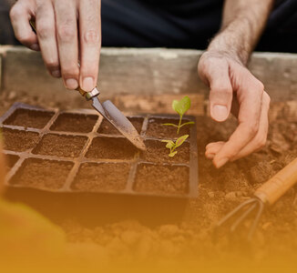 Forum des jardins 2024