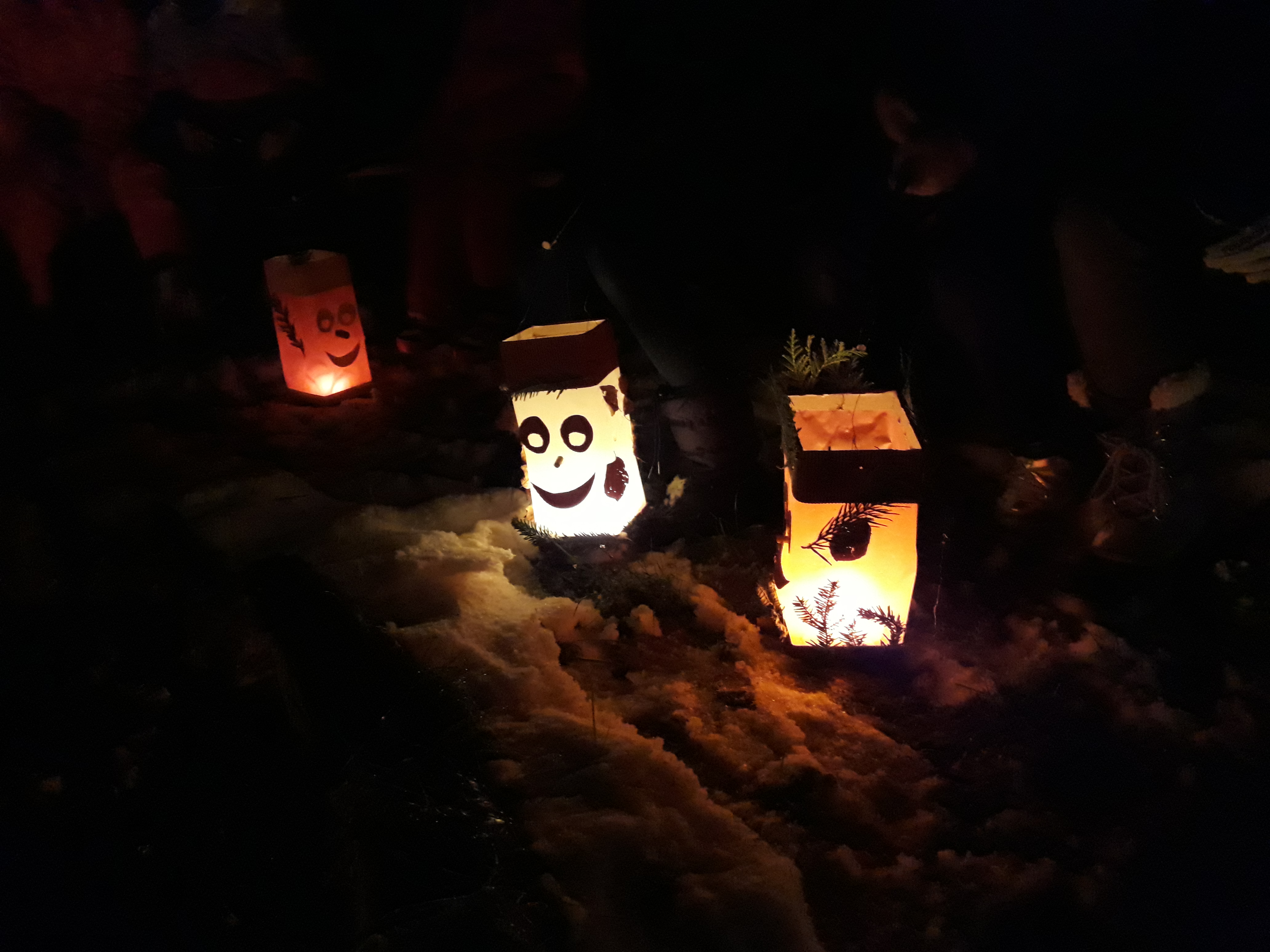 For Children: Lanterns in the Forest