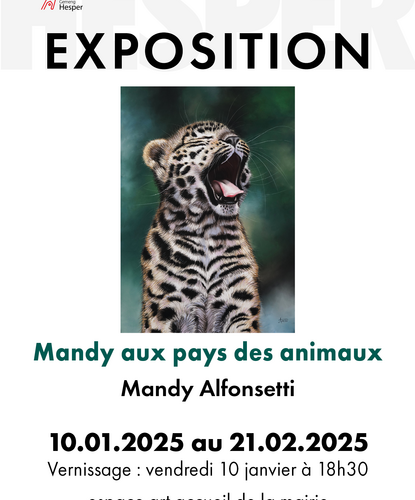 Exposition "Mandy aux pays des animaux"