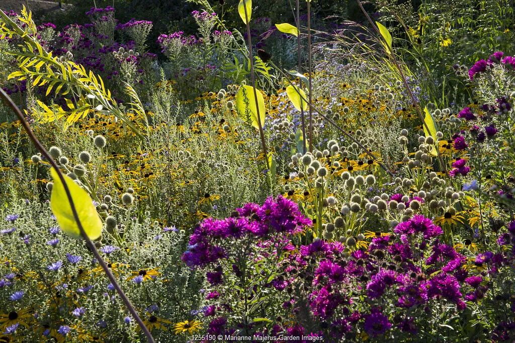 Marianne Majerus : In The Garden