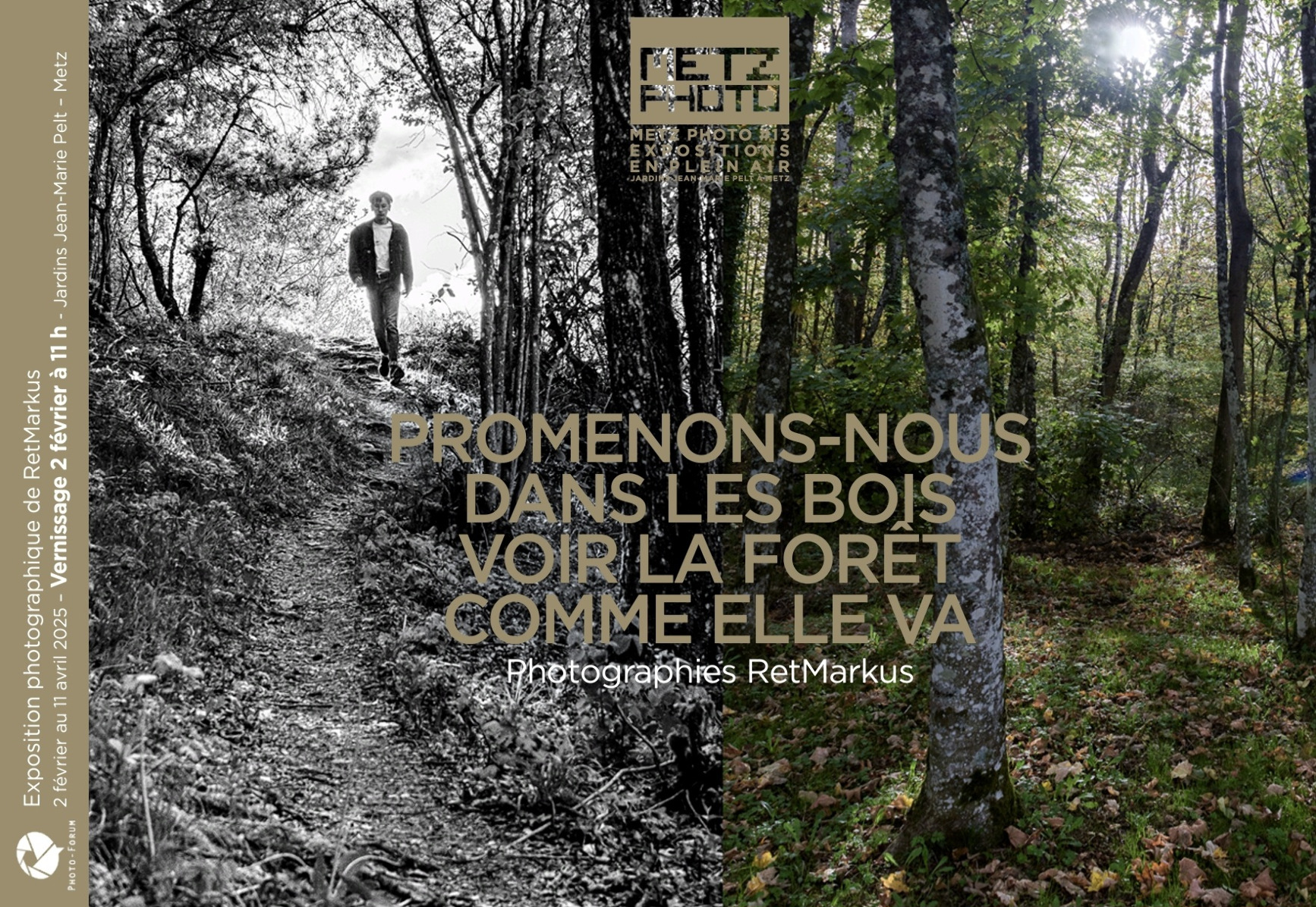 Exposition Metz Photo #13 : Promenons-nous dans les bois...