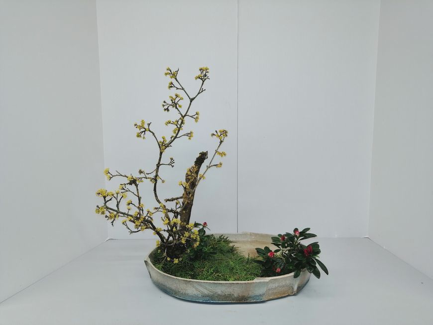 Ateliers découverte Ikebana