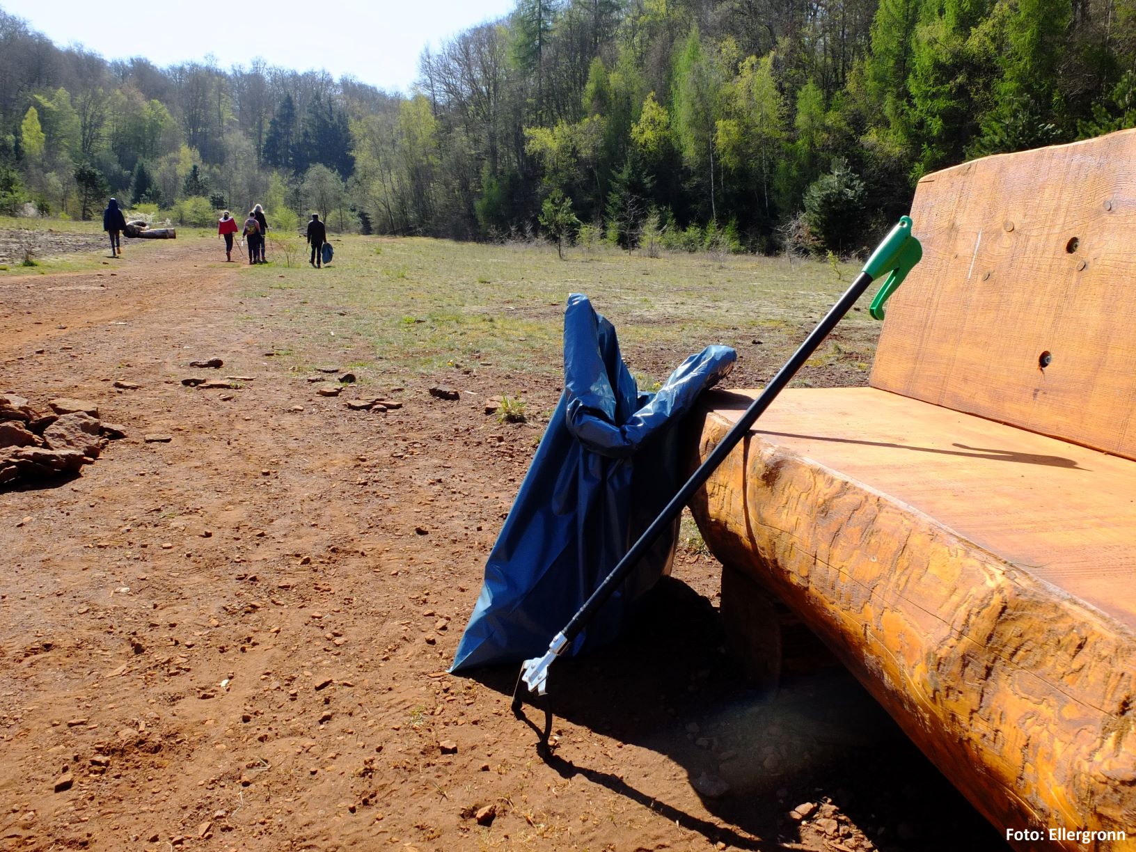 Forest Cleanup