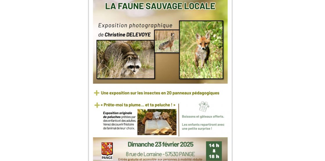 Exposition "La faune sauvage locale"