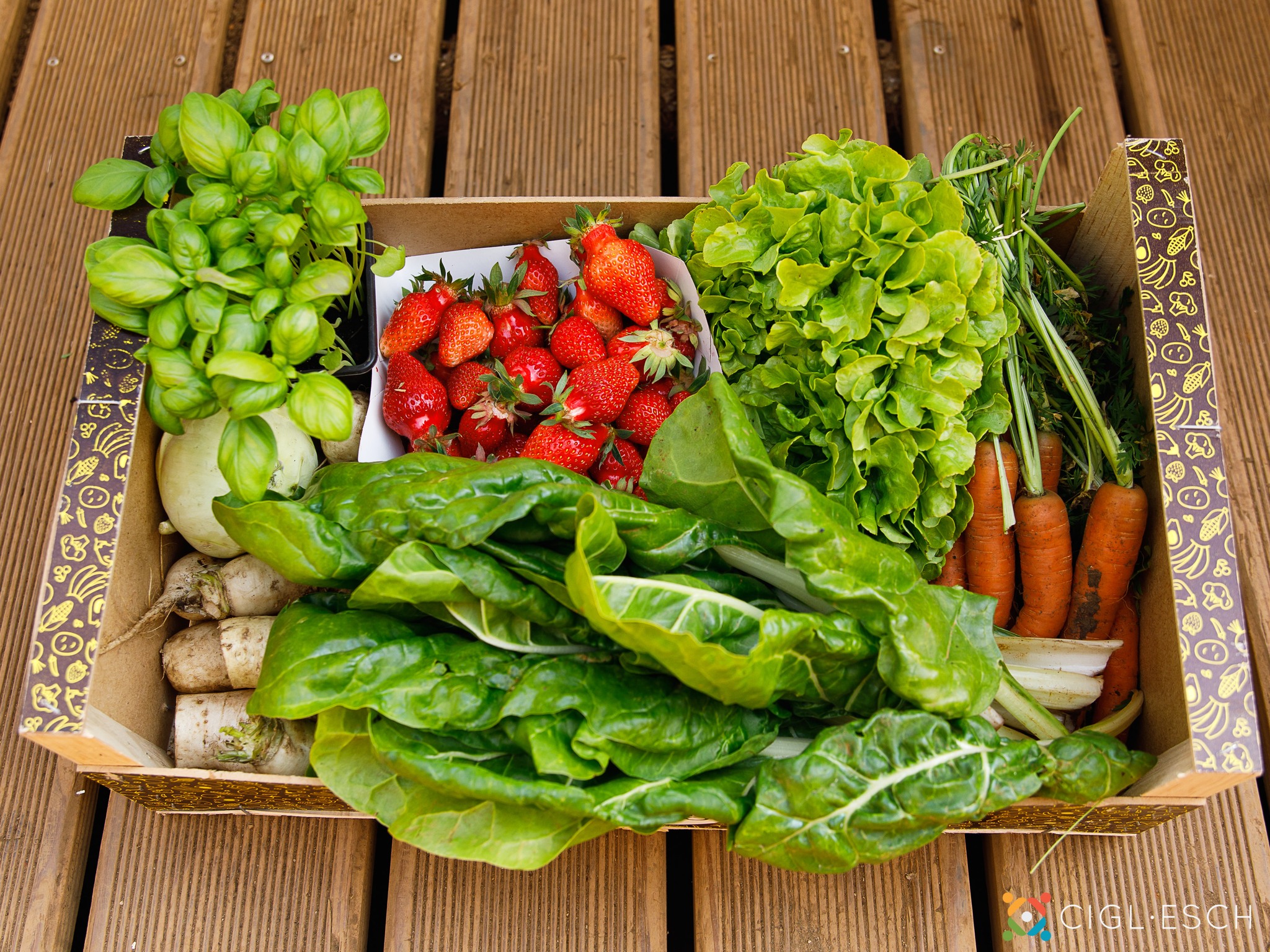 Harvest Day at the Garden