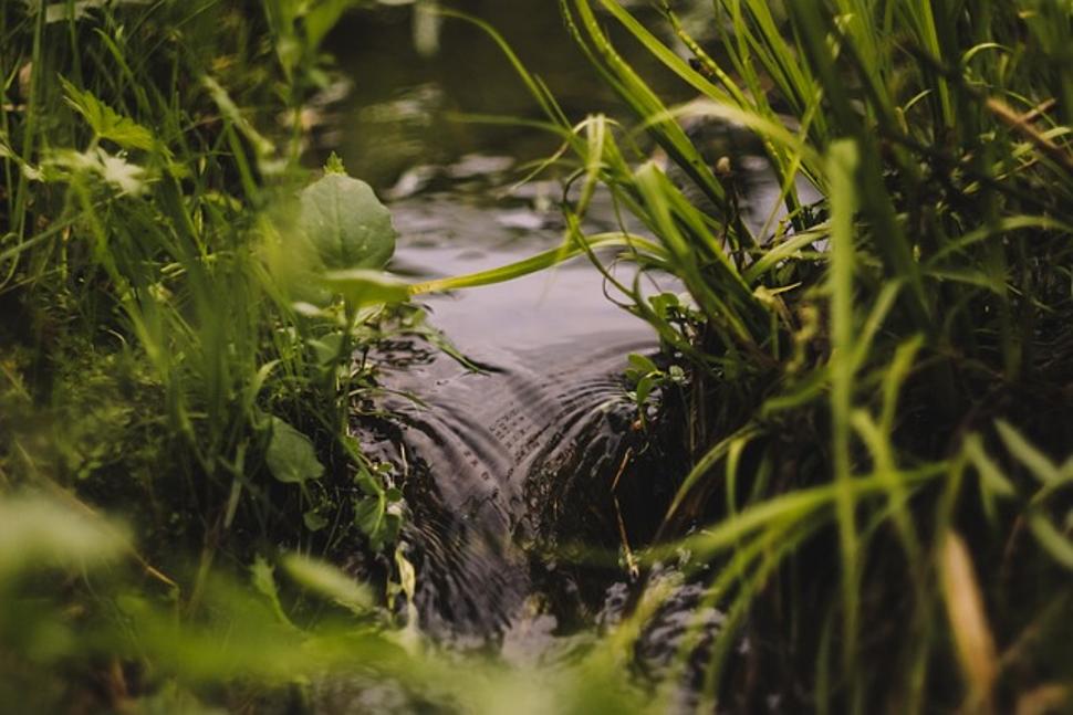 Journey to the Heart of a Peat Bog