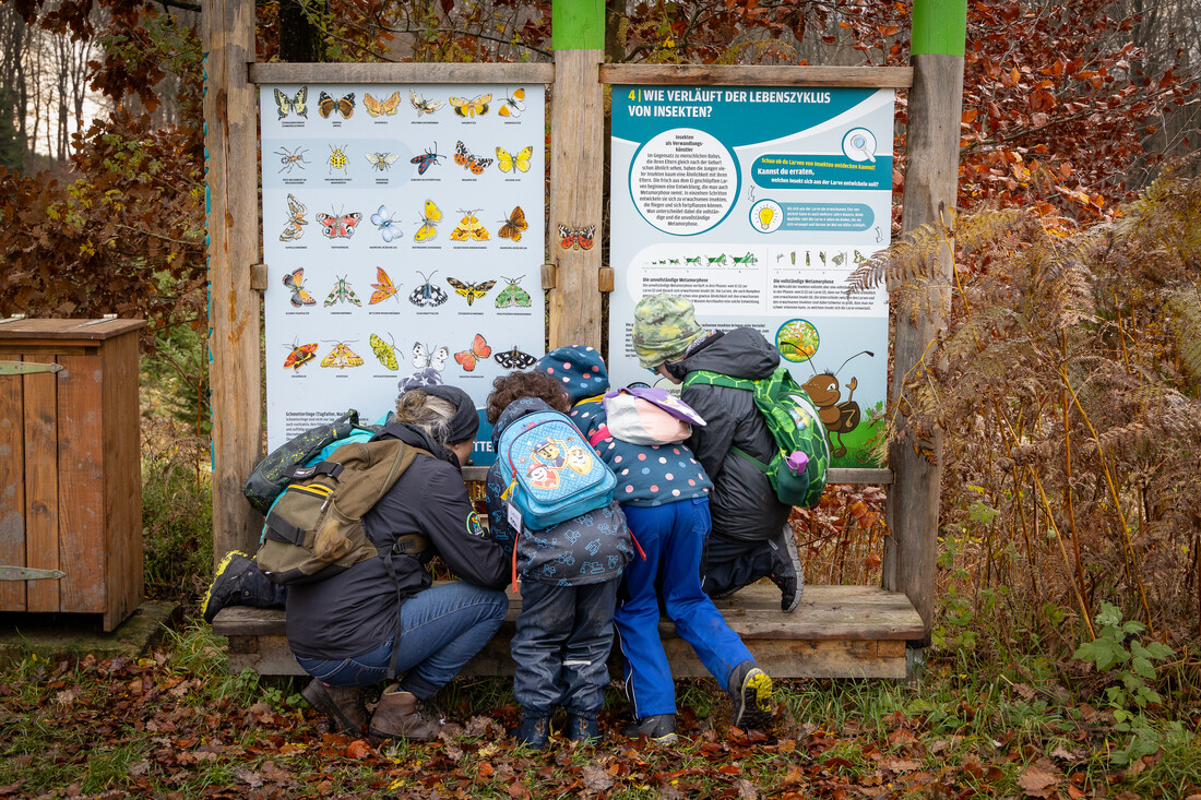 Guided Walk on the Educational Insect Trail