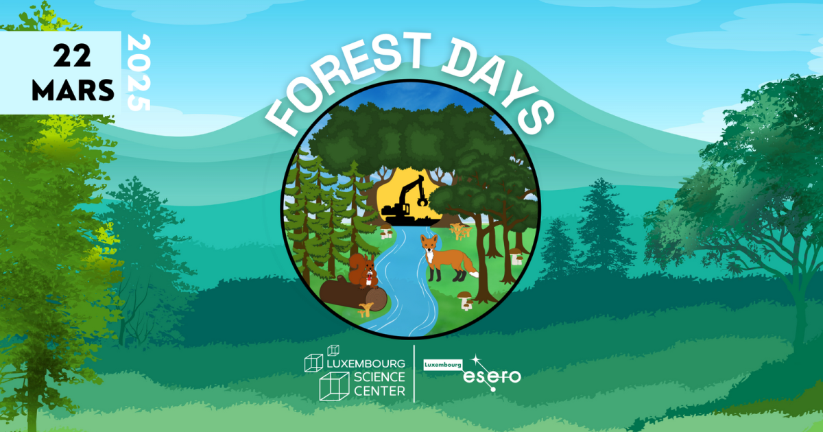 Forest Days 2025